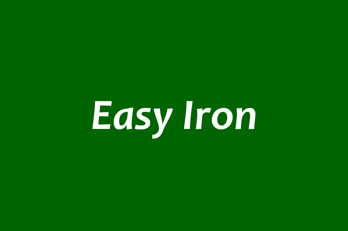 Easy Iron