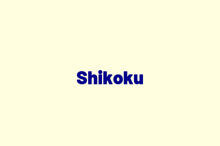 Adopt a Shikoku Dog in Bembridge