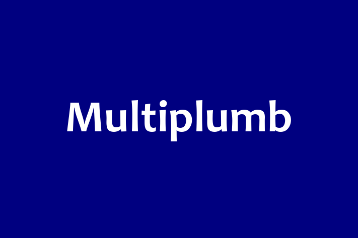 Multiplumb