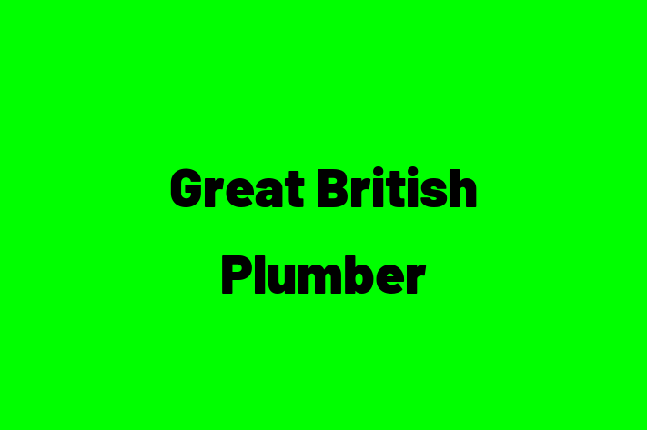 Great British Plumber