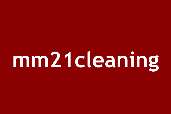 mm21cleaning