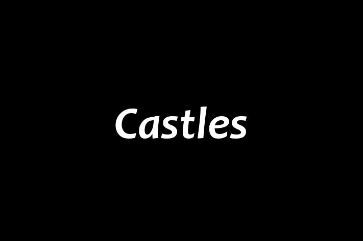 Castles