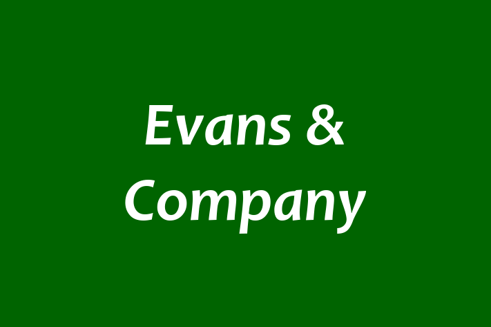 Evans & Company