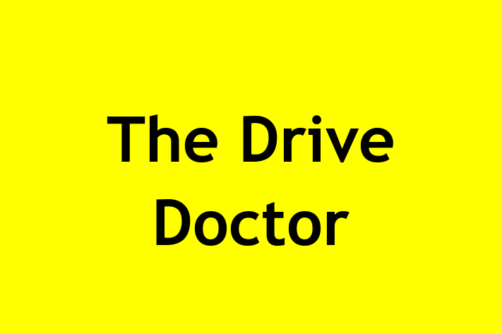 The Drive Doctor