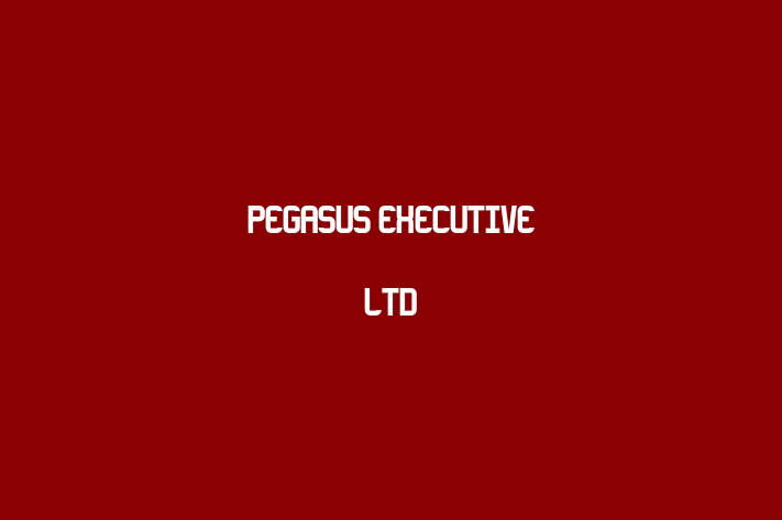 Pegasus executive Ltd