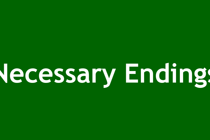 Necessary Endings