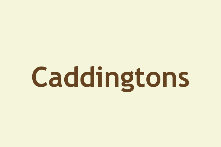 Caddingtons