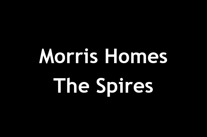 Morris Homes   The Spires