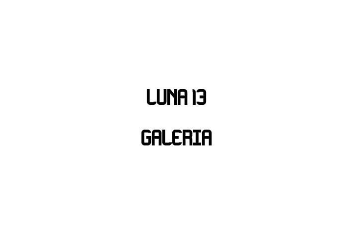 Luna 13 Galeria