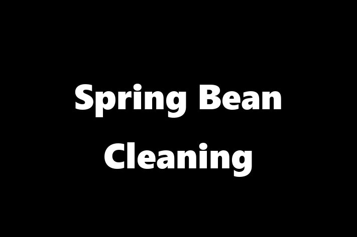 Spring Bean Cleaning