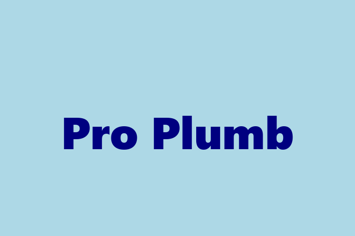 Pro Plumb