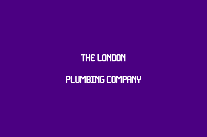 The London Plumbing Company