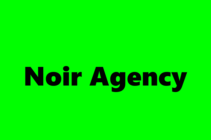 Noir Agency