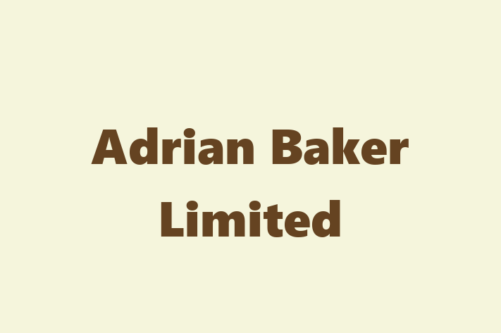 Adrian Baker Limited