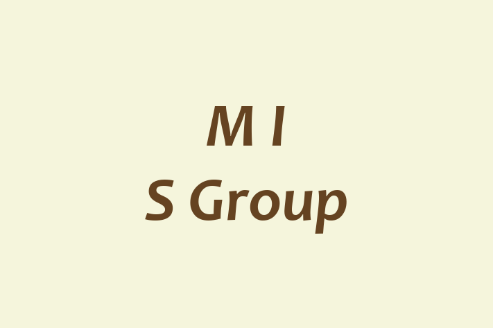 M I S Group