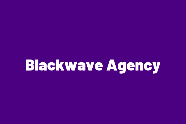 Blackwave Agency