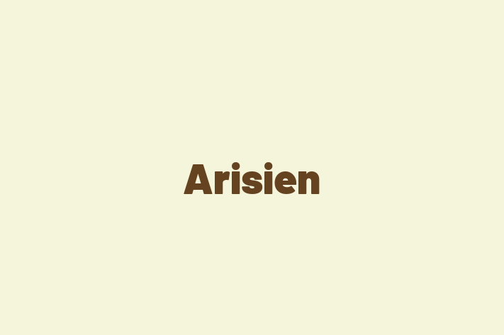 Arisien