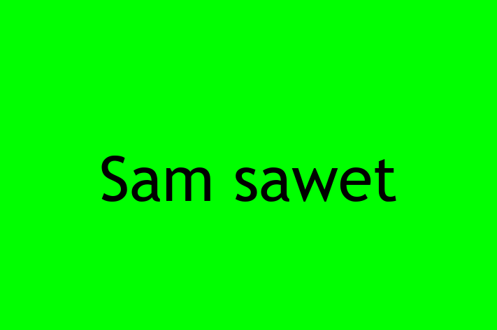 Find Your New Sam sawet Cat in Braintree