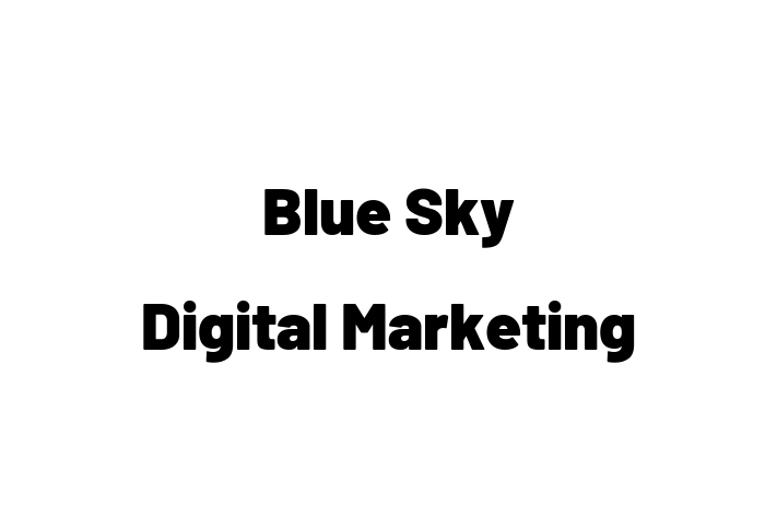 Blue Sky Digital Marketing