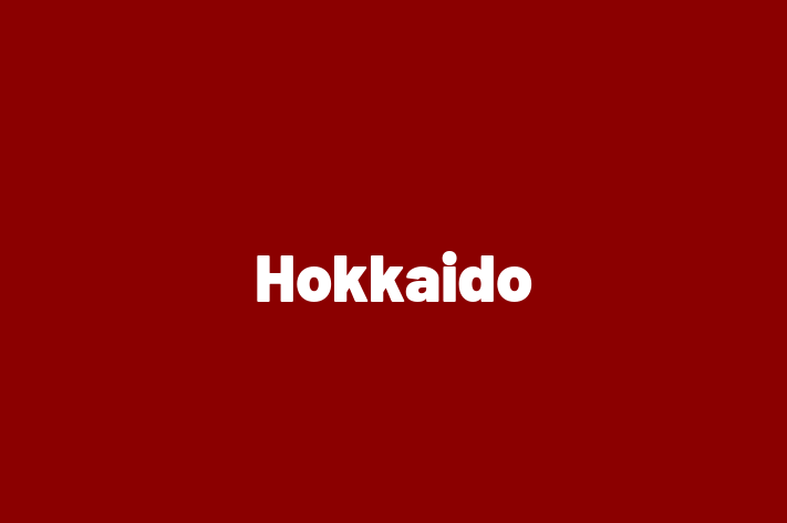 Adopt a Hokkaido Dog in Scunthorpe