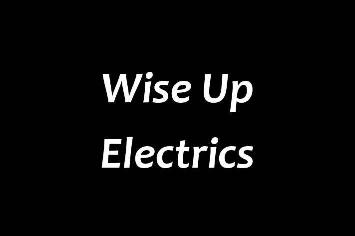 Wise Up Electrics