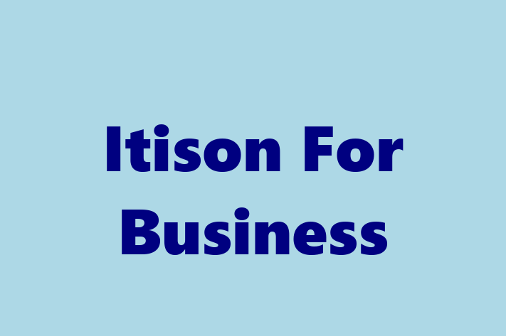 Itison For Business