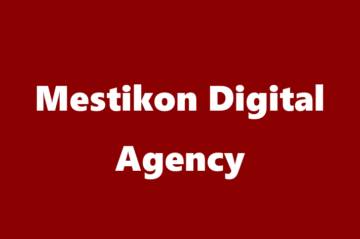 Mestikon Digital Agency