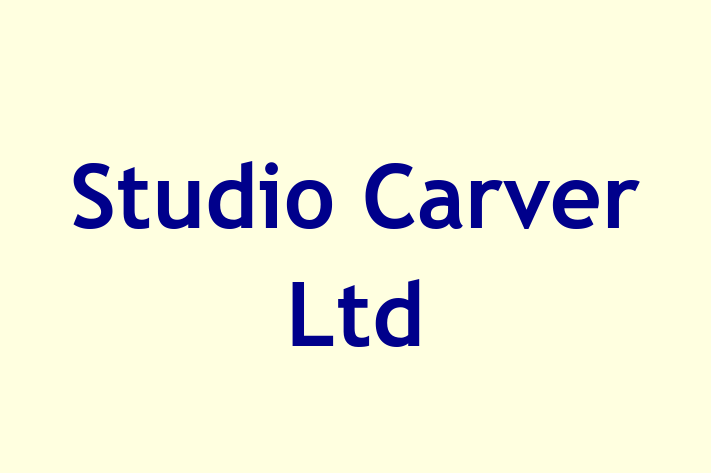 Studio Carver Ltd