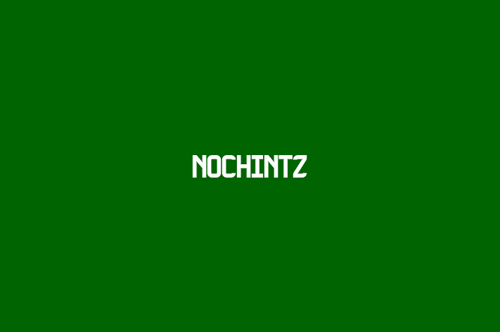 NoChintz