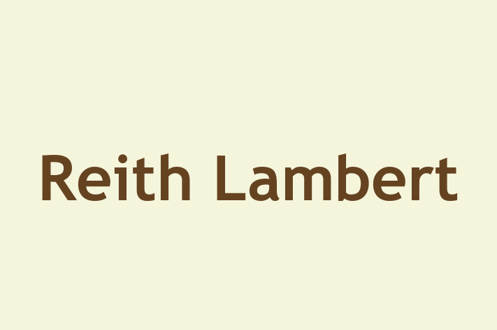 Reith Lambert