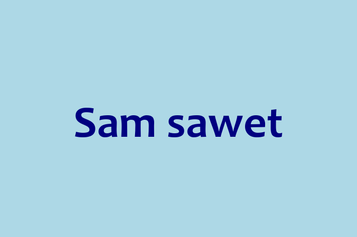 Adopt a Cat Today Sam sawet in Burton on Trent