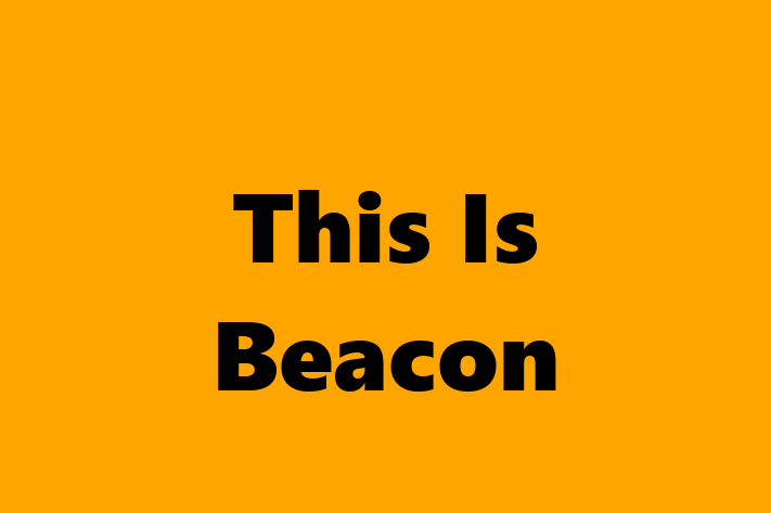 This Is Beacon