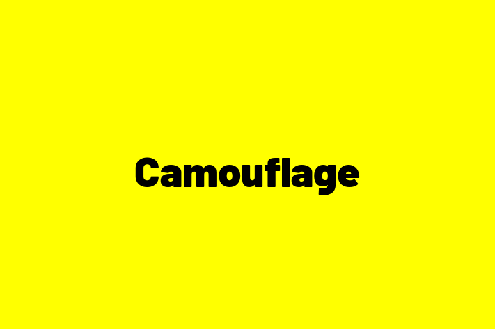 Camouflage