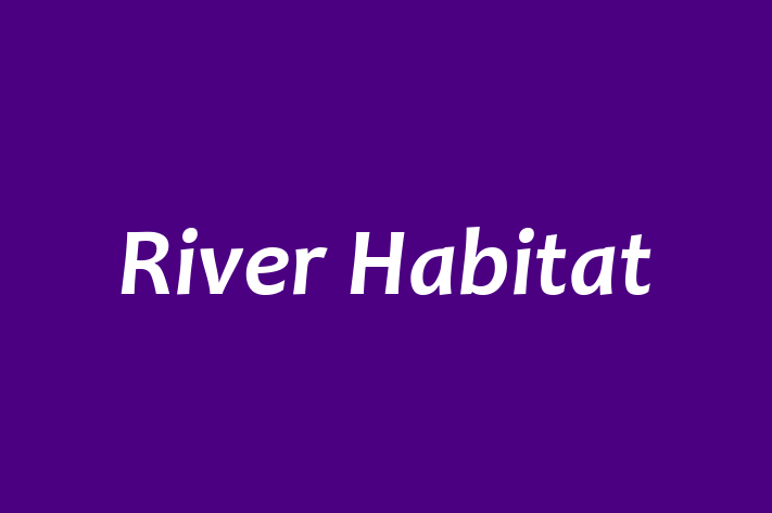 River Habitat