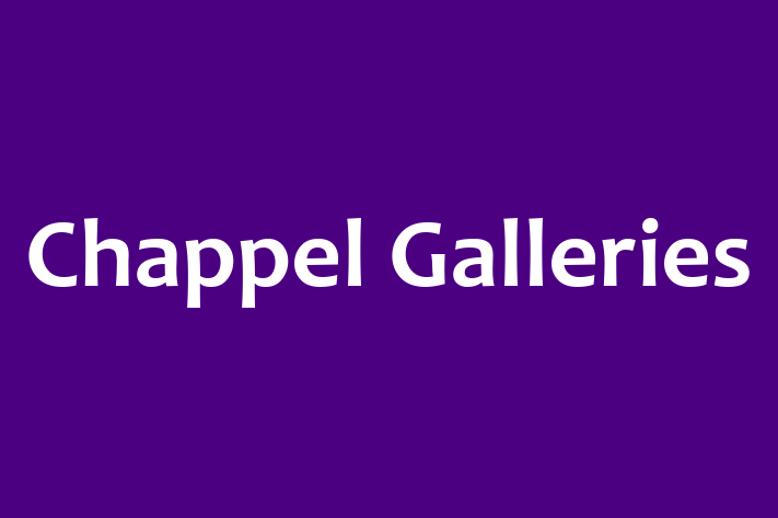 Chappel Galleries