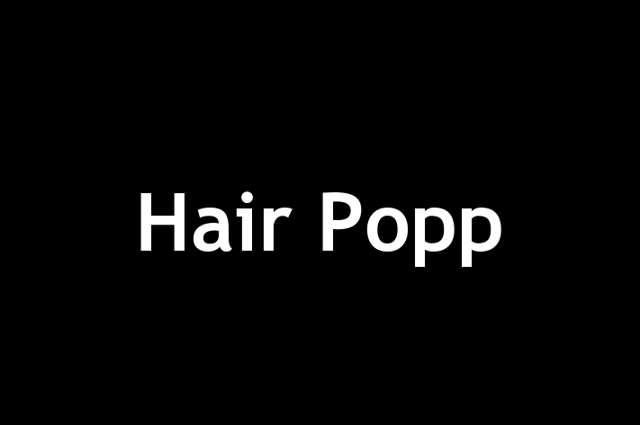 Hair Popp