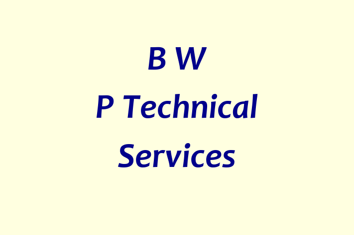 B W P Technical Services