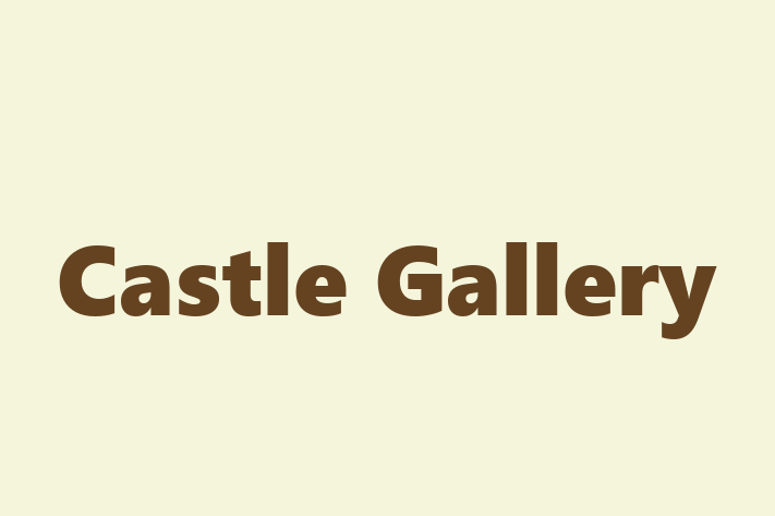 Castle Gallery