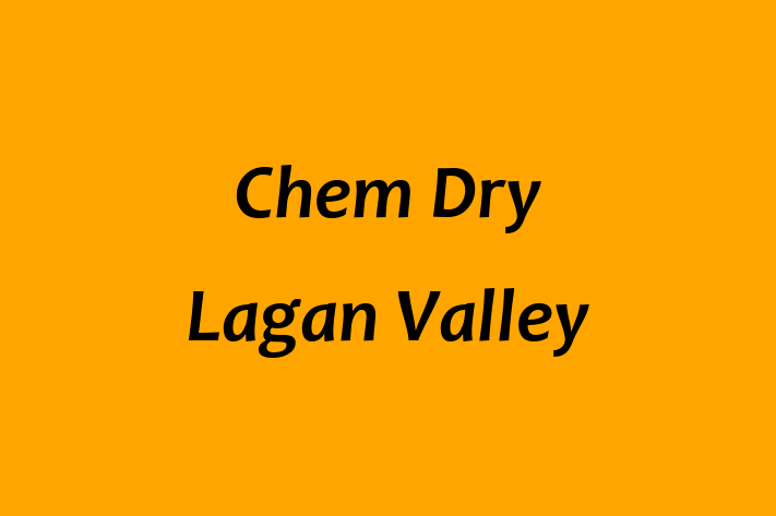 Chem Dry Lagan Valley