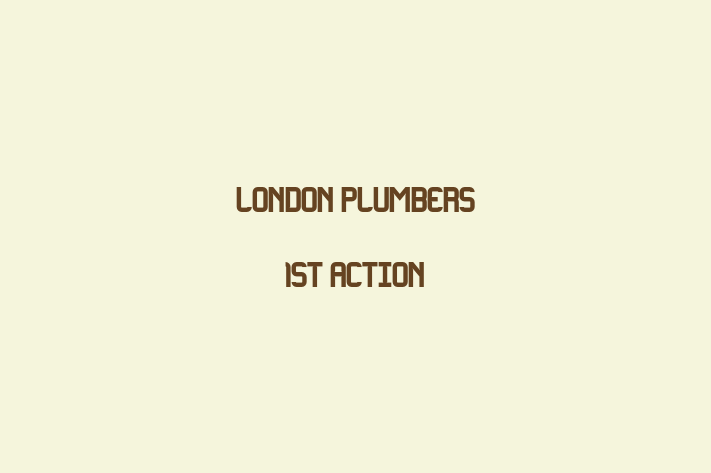 London Plumbers 1st Action