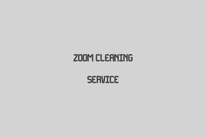 Zoom Cleaning Service