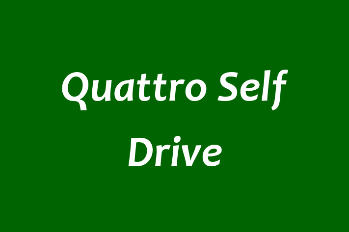 Quattro Self Drive