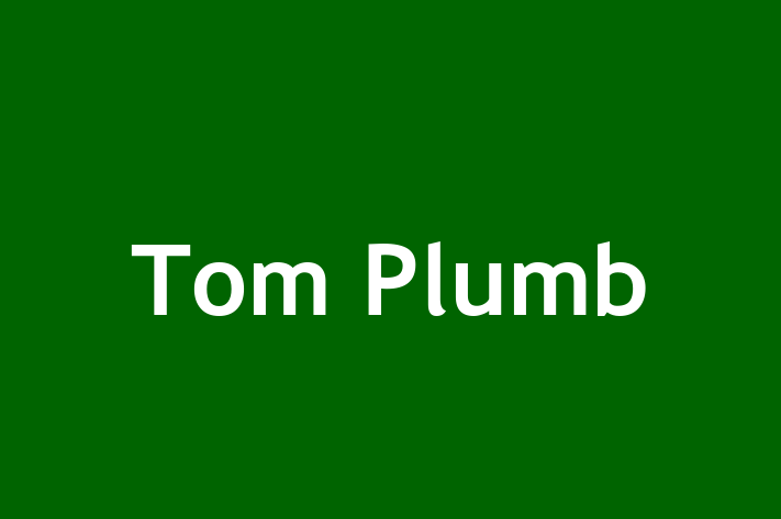 Tom Plumb