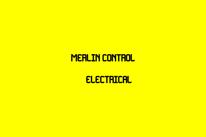 Merlin Control & Electrical