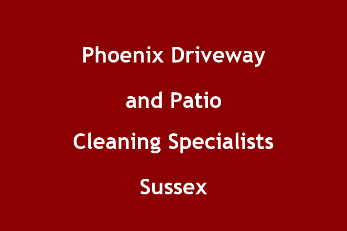 Phoenix Driveway and Patio Cleaning Specialists Sussex