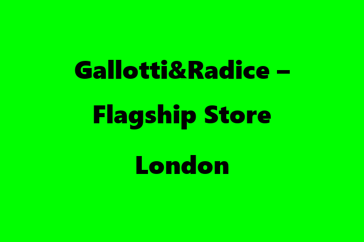 Gallotti&Radice – Flagship Store London