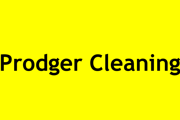 Prodger Cleaning