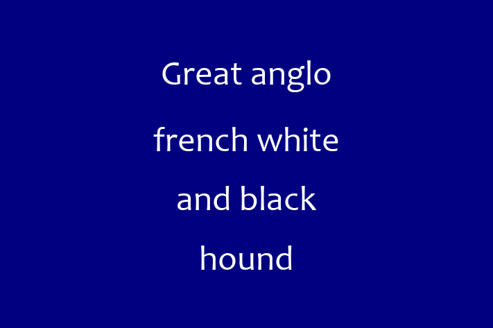 Great anglo french white and black hound Dog in Basildon