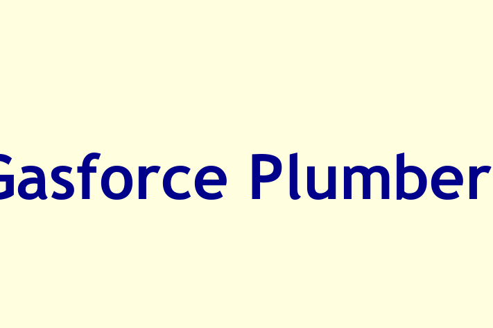 Gasforce Plumbers