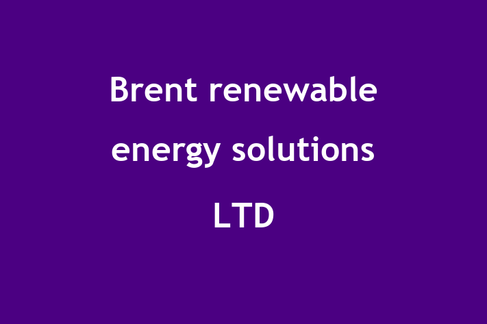 Brent renewable energy solutions LTD